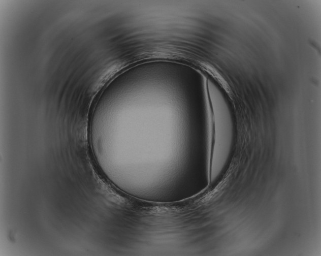 X0000092230938200710121215