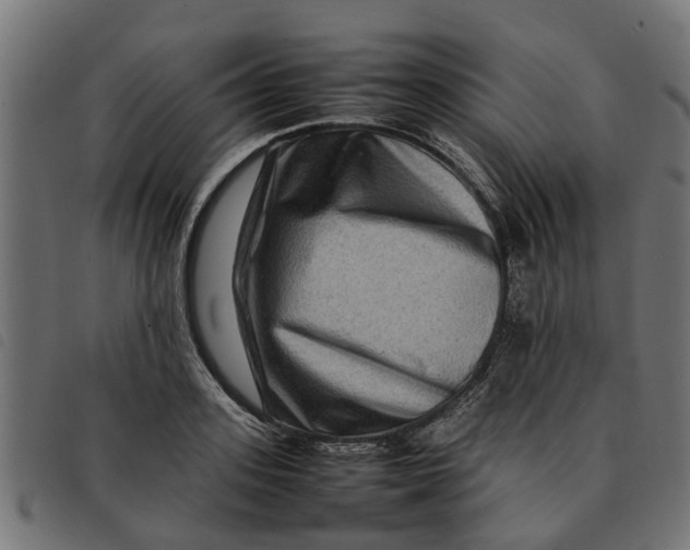 X0000092230939200710121215