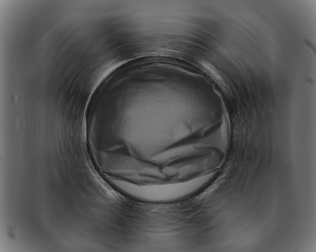 X0000092230940200710121215