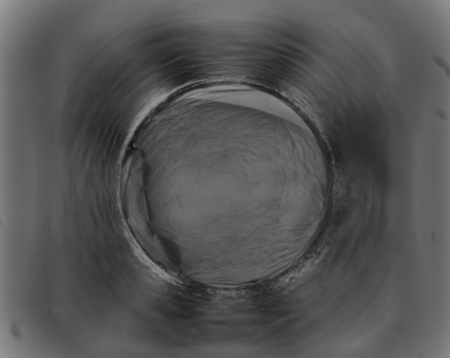 X0000092230941200710121215