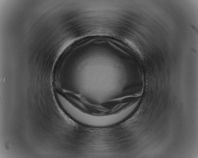 X0000092230942200710121215