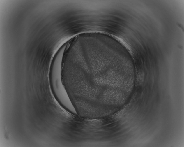 X0000092230943200710121215