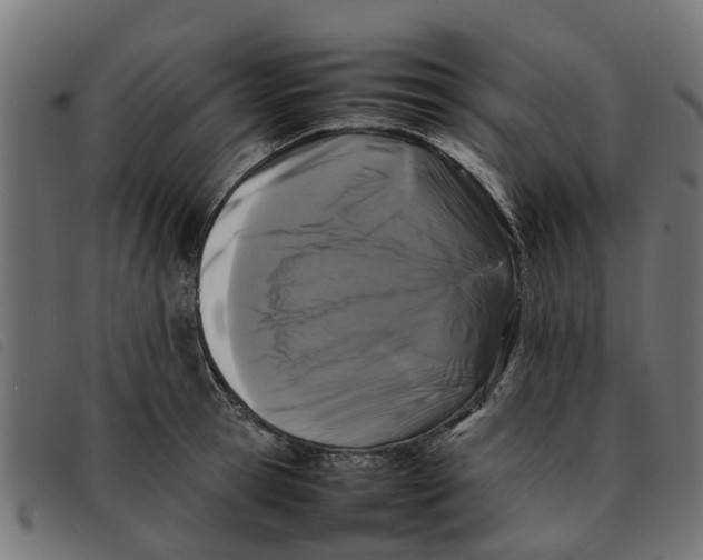 X0000092230945200710121215