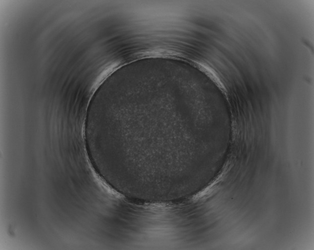 X0000092230946200710121215