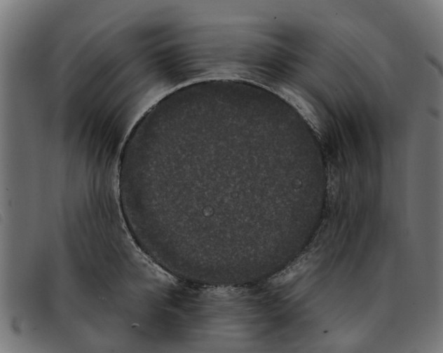 X0000092230950200710121215