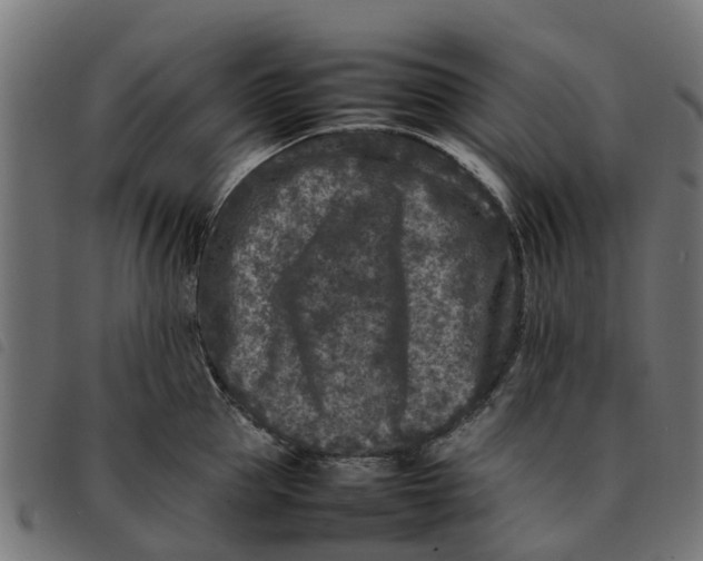 X0000092230953200710121215