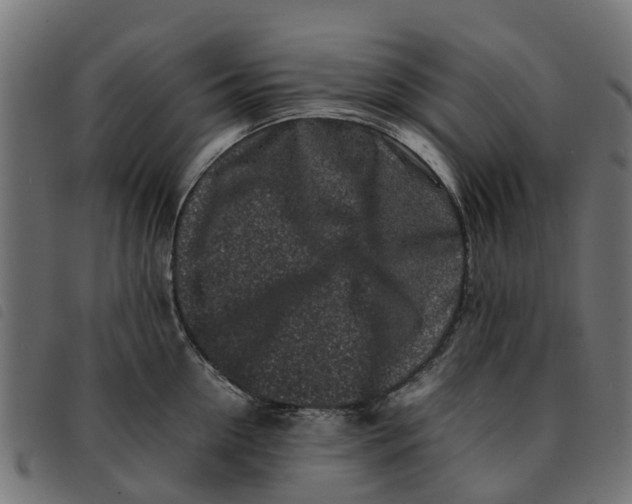 X0000092230954200710121215