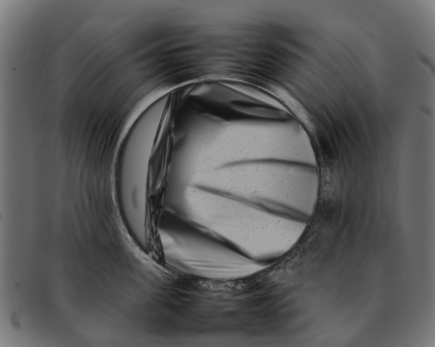 X0000092230955200710121215