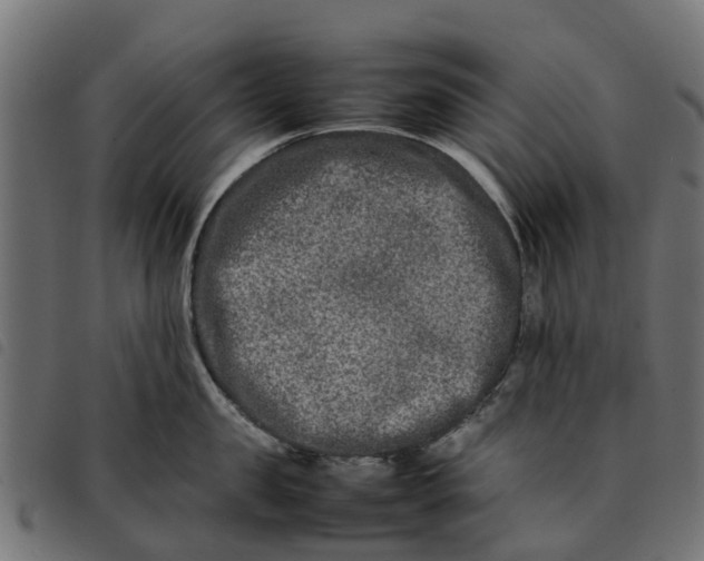 X0000092230957200710121215