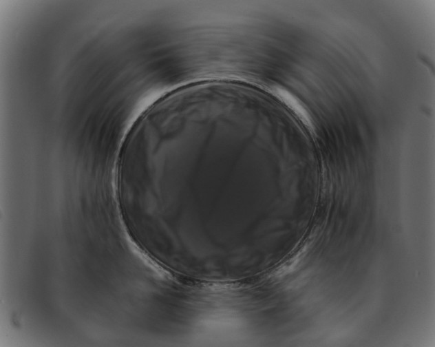 X0000092230958200710121215