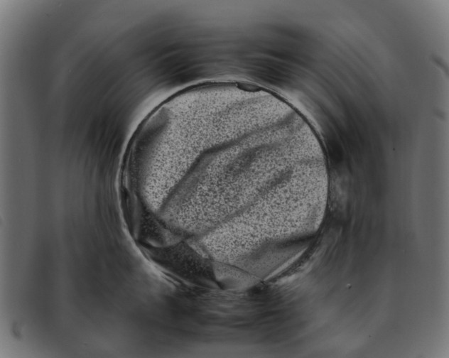 X0000092230959200710121215