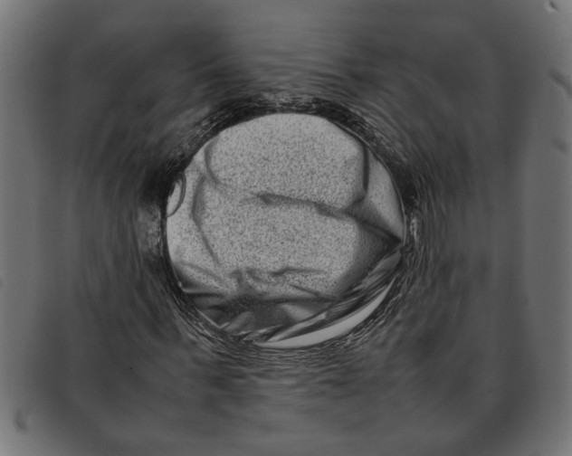 X0000092230963200710121214