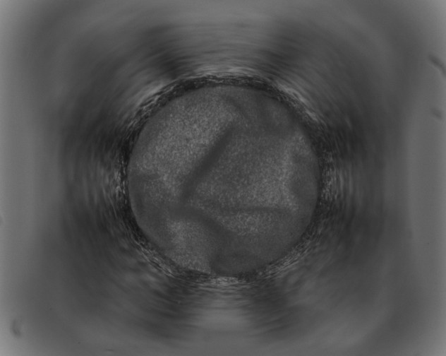 X0000092230966200710121214