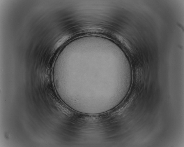 X0000092230970200710121214