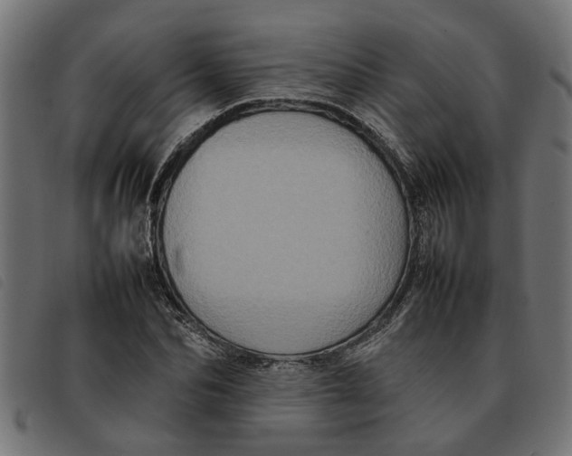 X0000092230974200710121214