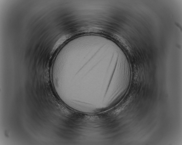 X0000092230978200710121214