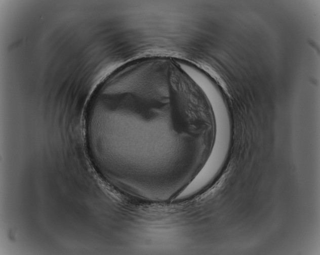 X0000092230981200710121214