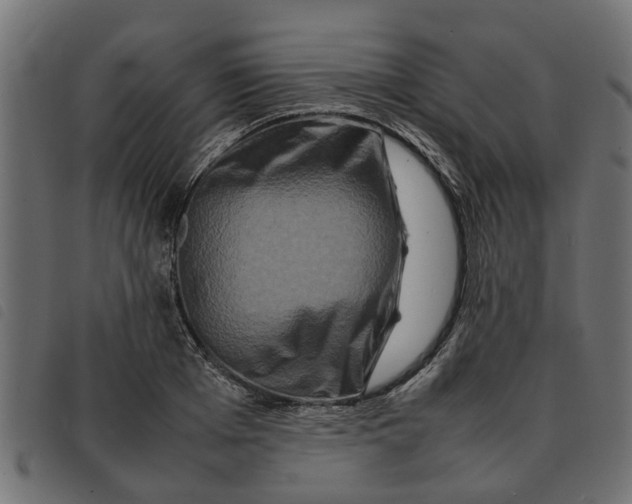 X0000092230985200710121214