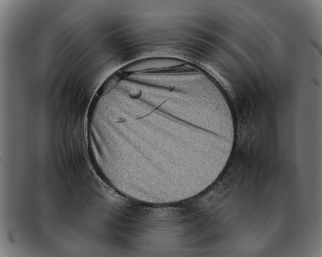 X0000092230988200710121214