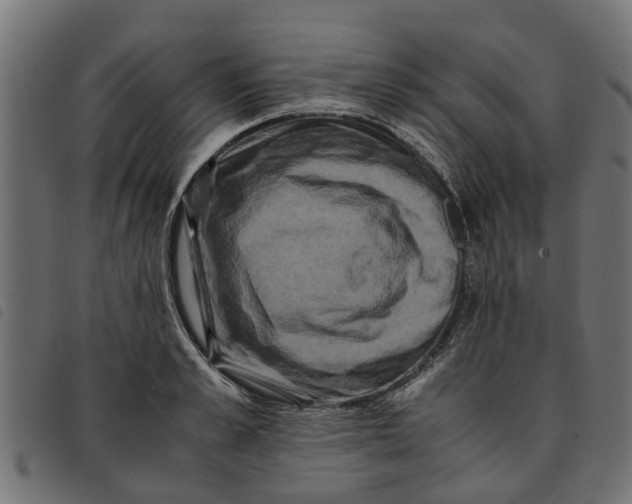 X0000092230989200710121214