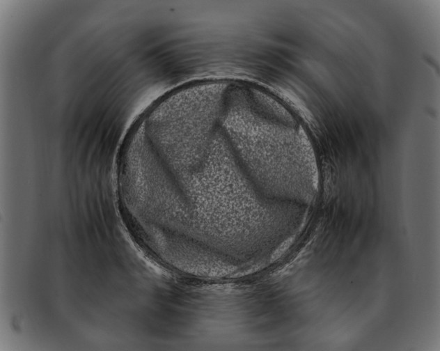 X0000092230990200710121214