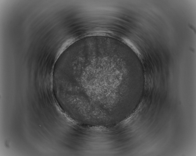 X0000092230994200710121214