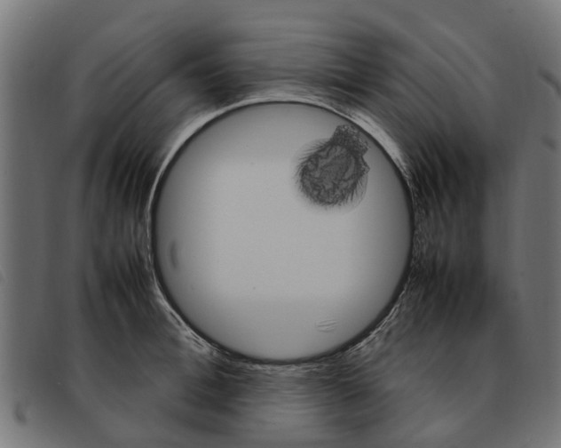 X0000092230996200710121214