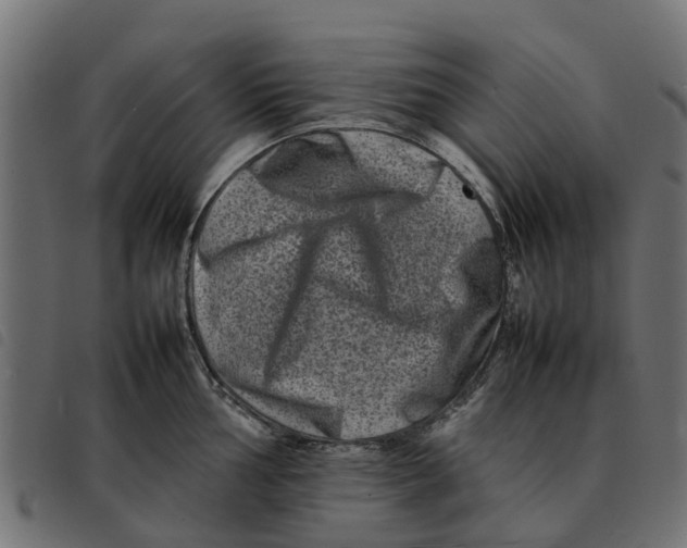 X0000092231002200710121214