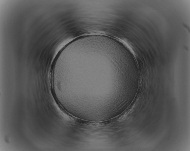 X0000092231003200710121214