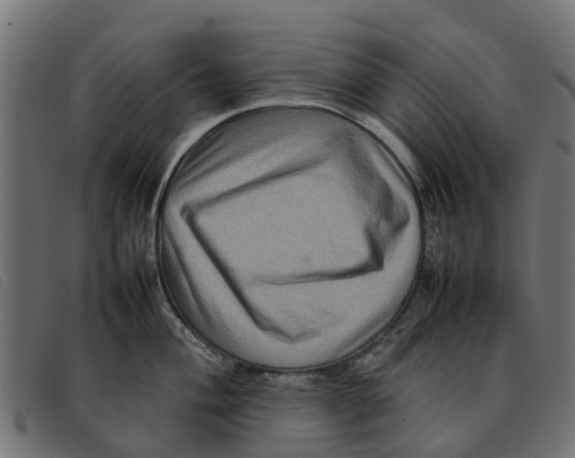 X0000092231004200710121214