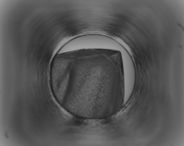 X0000092231005200710121214