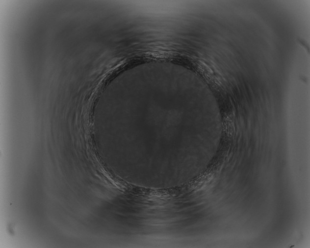 X0000092231009200710121213