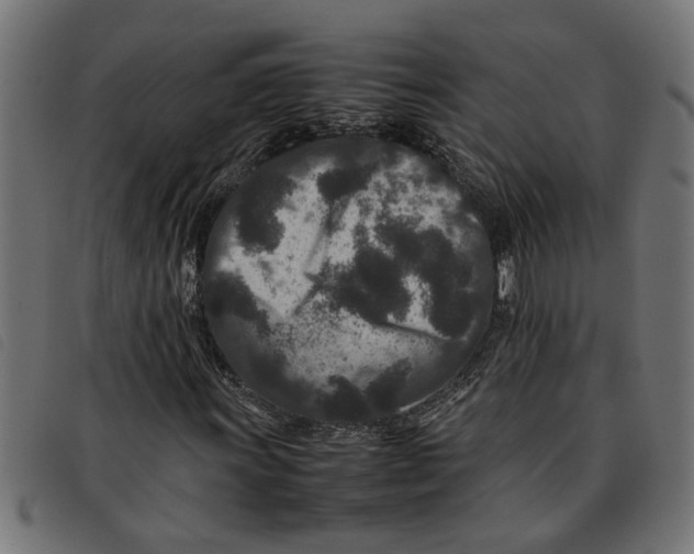 X0000092231011200710121213