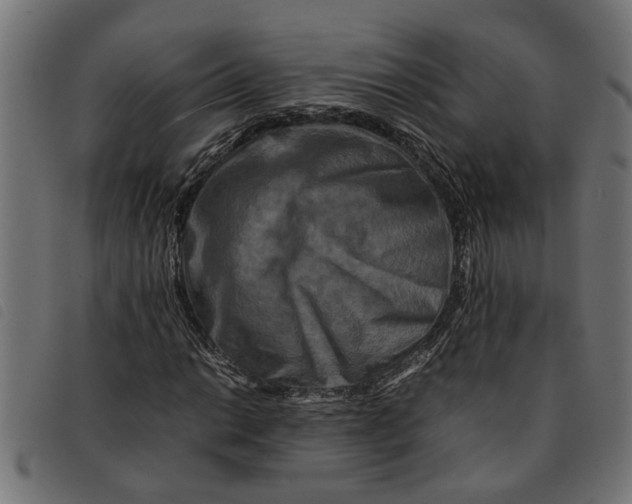 X0000092231014200710121213