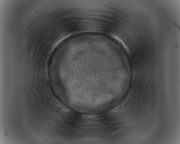 X0000092231019200710121213