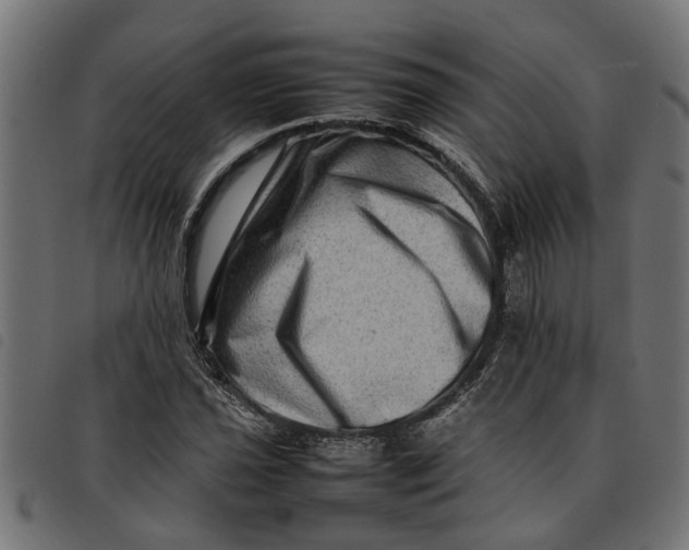 X0000092231021200710121213