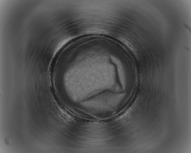 X0000092231022200710121213