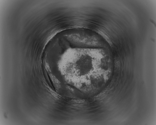 X0000092231023200710121213