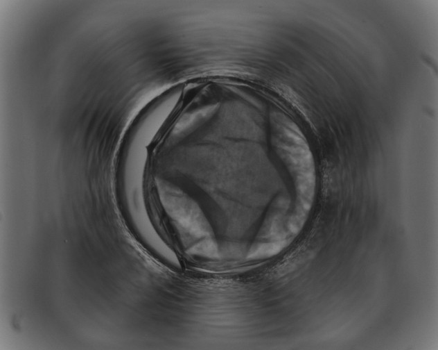 X0000092231024200710121213