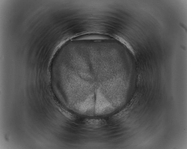 X0000092231027200710121213