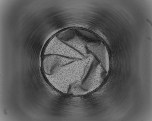 X0000092231028200710121213