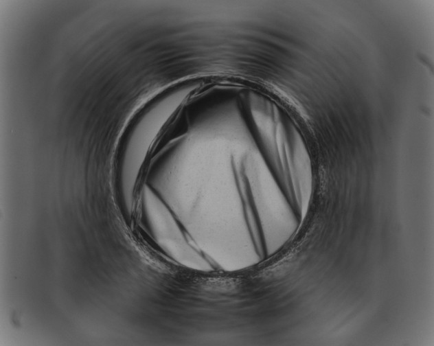 X0000092231029200710121213