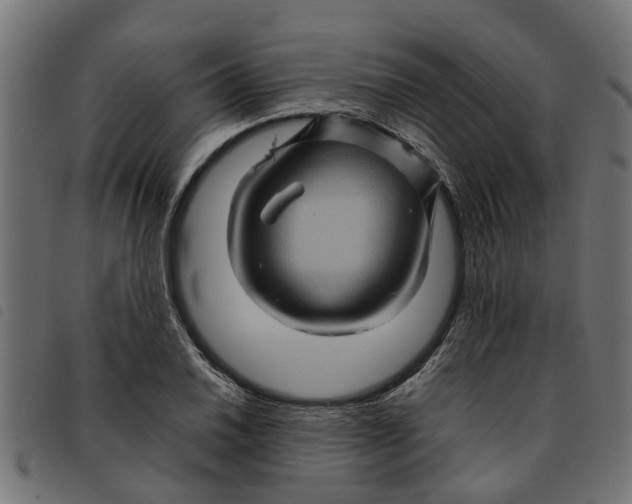 X0000092231030200710121213