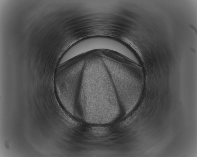 X0000092231033200710121213