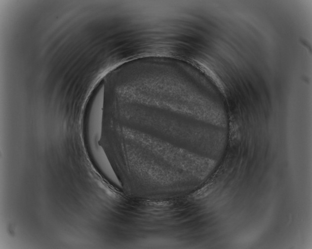 X0000092231035200710121213