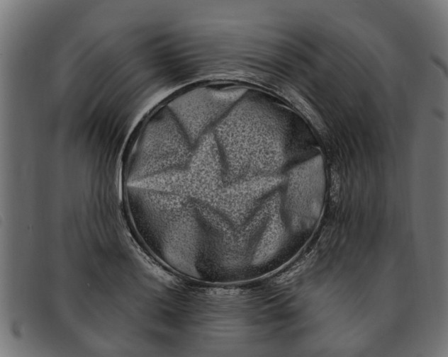 X0000092231036200710121213