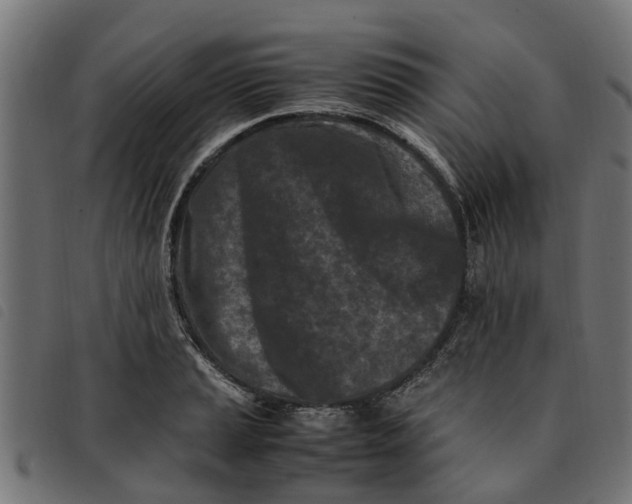 X0000092231037200710121213