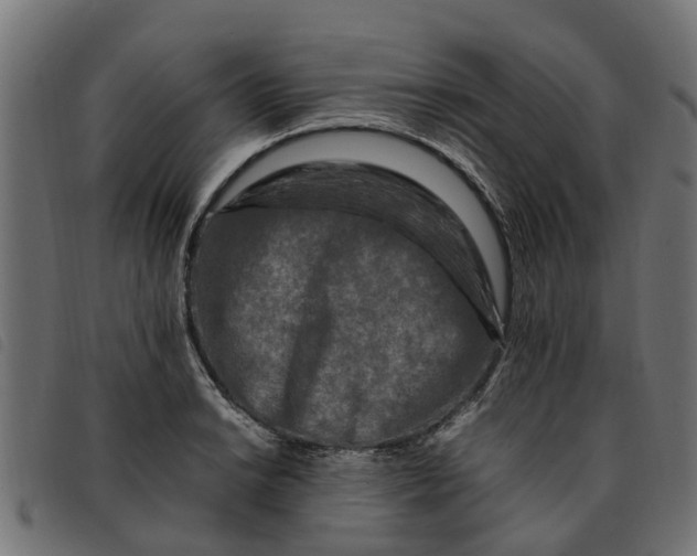 X0000092231038200710121213