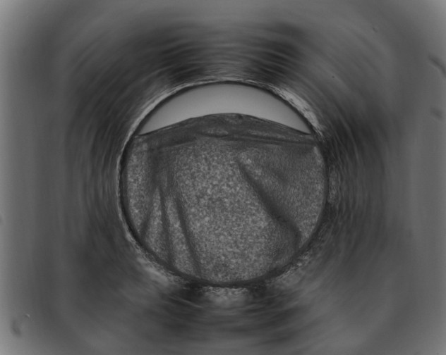 X0000092231039200710121213