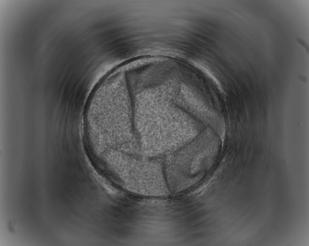 X0000092231040200710121213